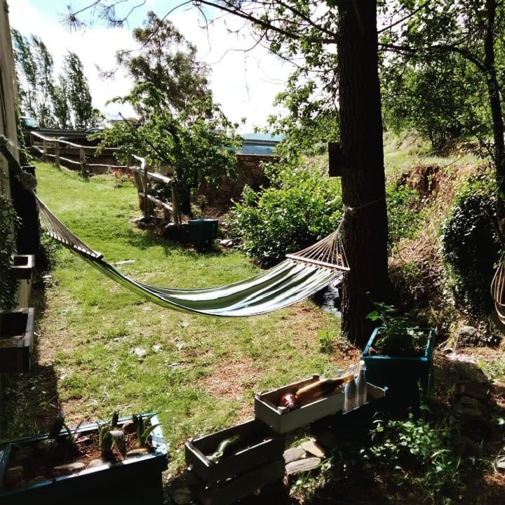 Casa Rural El Arroyo Sotoserrano Εξωτερικό φωτογραφία